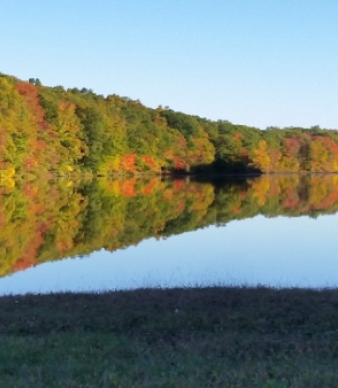 Mono Pond State Park Reserve